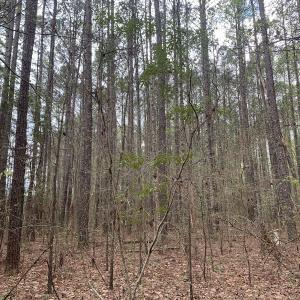 Photo #26 of Off Riverdale Dr, Franklin, VA 11.3 acres