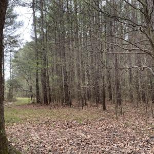 Photo #27 of Off Riverdale Dr, Franklin, VA 11.3 acres