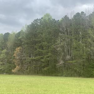 Photo #31 of Off Riverdale Dr, Franklin, VA 11.3 acres