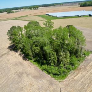 Photo #2 of SOLD property in Off Rockpile Rd, Ahoskie, NC 1.2 acres