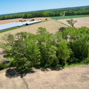 Photo #3 of SOLD property in Off Rockpile Rd, Ahoskie, NC 1.2 acres