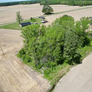 Photo #6 of SOLD property in Off Rockpile Rd, Ahoskie, NC 1.2 acres