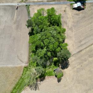 Photo #10 of SOLD property in Off Rockpile Rd, Ahoskie, NC 1.2 acres