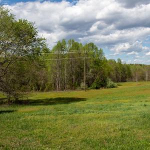 Photo #10 of SOLD property in OFF Birch-Elmo Rd, South Boston, VA 20.0 acres
