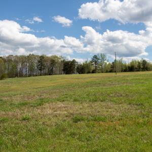 Photo #11 of SOLD property in OFF Birch-Elmo Rd, South Boston, VA 20.0 acres