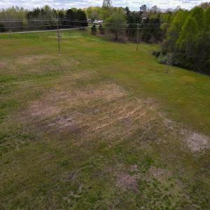 Photo #12 of SOLD property in OFF Birch-Elmo Rd, South Boston, VA 20.0 acres