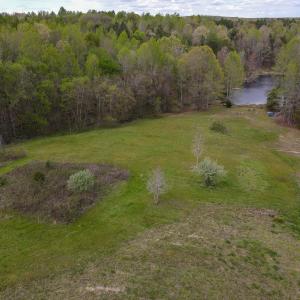 Photo #13 of SOLD property in OFF Birch-Elmo Rd, South Boston, VA 20.0 acres