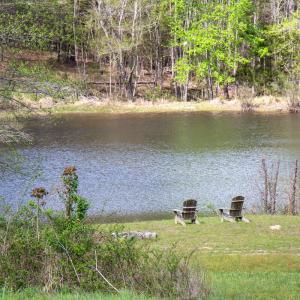 Photo #15 of SOLD property in OFF Birch-Elmo Rd, South Boston, VA 20.0 acres