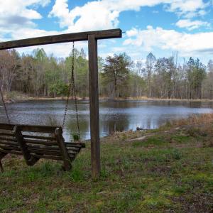 Photo #18 of SOLD property in OFF Birch-Elmo Rd, South Boston, VA 20.0 acres