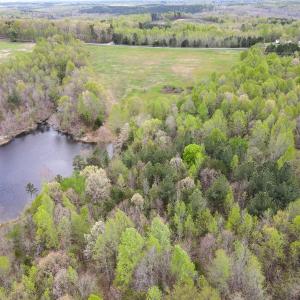 Photo #19 of SOLD property in OFF Birch-Elmo Rd, South Boston, VA 20.0 acres