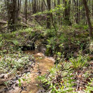 Photo #20 of SOLD property in OFF Birch-Elmo Rd, South Boston, VA 20.0 acres