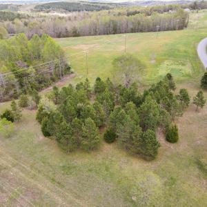 Photo #4 of SOLD property in OFF Birch-Elmo Rd, South Boston, VA 20.0 acres