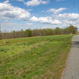 Photo #6 of SOLD property in OFF Birch-Elmo Rd, South Boston, VA 20.0 acres