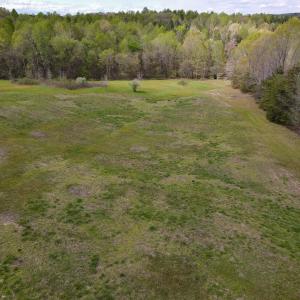 Photo #9 of SOLD property in OFF Birch-Elmo Rd, South Boston, VA 20.0 acres