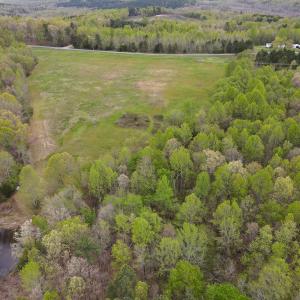 Photo #24 of SOLD property in OFF Birch-Elmo Rd, South Boston, VA 20.0 acres