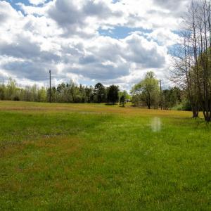 Photo #27 of SOLD property in OFF Birch-Elmo Rd, South Boston, VA 20.0 acres