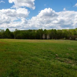 Photo #29 of SOLD property in OFF Birch-Elmo Rd, South Boston, VA 20.0 acres