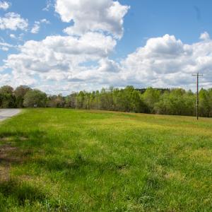 Photo #30 of SOLD property in OFF Birch-Elmo Rd, South Boston, VA 20.0 acres