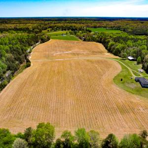 Photo #4 of SOLD property in Off Sparta Road, Milford, VA 30.7 acres