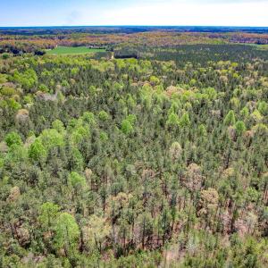 Photo #5 of SOLD property in Off Sparta Road, Milford, VA 30.7 acres