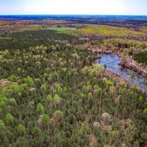 Photo #7 of SOLD property in Off Sparta Road, Milford, VA 30.7 acres