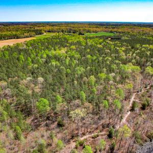 Photo #9 of SOLD property in Off Sparta Road, Milford, VA 30.7 acres