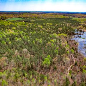 Photo #10 of SOLD property in Off Sparta Road, Milford, VA 30.7 acres