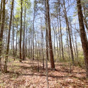 Photo #11 of SOLD property in Off Sparta Road, Milford, VA 30.7 acres