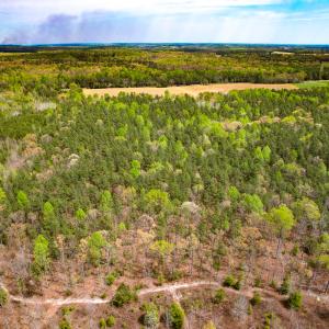 Photo #12 of SOLD property in Off Sparta Road, Milford, VA 30.7 acres