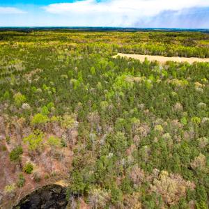 Photo #15 of SOLD property in Off Sparta Road, Milford, VA 30.7 acres