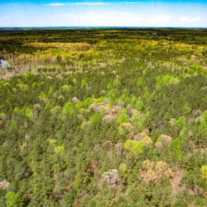 Photo #18 of SOLD property in Off Sparta Road, Milford, VA 30.7 acres