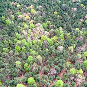 Photo #19 of SOLD property in Off Sparta Road, Milford, VA 30.7 acres