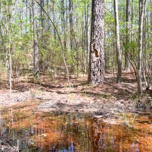 Photo #20 of SOLD property in Off Sparta Road, Milford, VA 30.7 acres