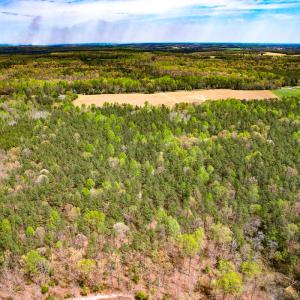 Photo #21 of SOLD property in Off Sparta Road, Milford, VA 30.7 acres