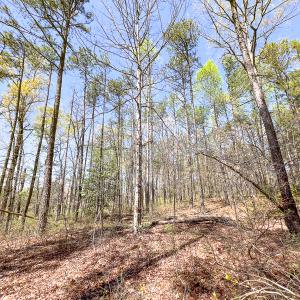 Photo #22 of SOLD property in Off Sparta Road, Milford, VA 30.7 acres