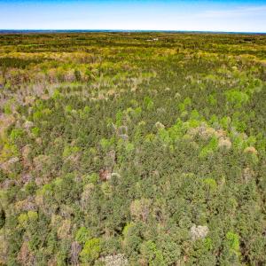 Photo #29 of SOLD property in Off Sparta Road, Milford, VA 30.7 acres