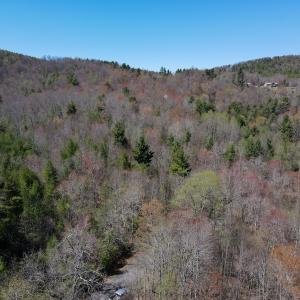 Photo #10 of SOLD property in Off Reedsville Rd NW, Floyd, VA 36.6 acres