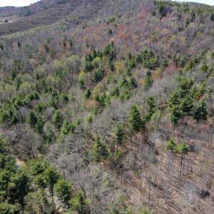 Photo #14 of Off Reedsville Rd NW, Floyd, VA 36.6 acres