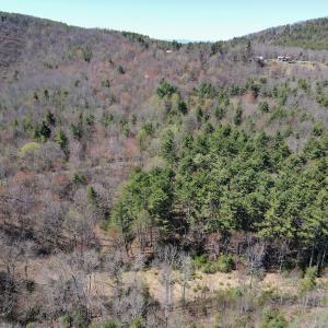 Photo #2 of Off Reedsville Rd NW, Floyd, VA 36.6 acres