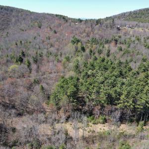 Photo #2 of SOLD property in Off Reedsville Rd NW, Floyd, VA 36.6 acres