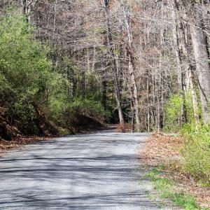 Photo #20 of SOLD property in Off Reedsville Rd NW, Floyd, VA 36.6 acres
