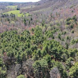 Photo #6 of SOLD property in Off Reedsville Rd NW, Floyd, VA 36.6 acres