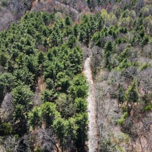 Photo #7 of SOLD property in Off Reedsville Rd NW, Floyd, VA 36.6 acres