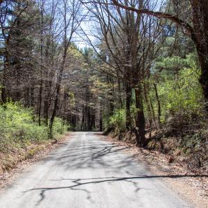 Photo #9 of SOLD property in Off Reedsville Rd NW, Floyd, VA 36.6 acres