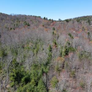 Photo #22 of SOLD property in Off Reedsville Rd NW, Floyd, VA 36.6 acres