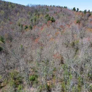 Photo #25 of SOLD property in Off Reedsville Rd NW, Floyd, VA 36.6 acres