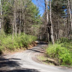 Photo #27 of SOLD property in Off Reedsville Rd NW, Floyd, VA 36.6 acres