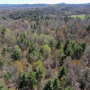 Photo #29 of SOLD property in Off Reedsville Rd NW, Floyd, VA 36.6 acres
