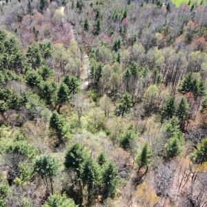 Photo #30 of SOLD property in Off Reedsville Rd NW, Floyd, VA 36.6 acres