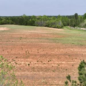 Photo #15 of SOLD property in 02 Savage Road, Spring Hope, NC 1.5 acres
